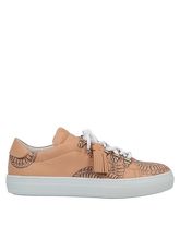 TOD'S Low Sneakers & Tennisschuhe