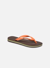 SALE -40 Havaianas - Brasil Logo F - SALE Zehensandalen, braun
