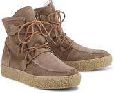 Schnür-Boots von Ca´Shott in taupe für Damen. Gr. 36
