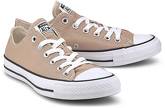 Sneaker Ctas Ox von Converse in beige für Damen. Gr. 36,36 1/2,37,38,40,41,41 1/2,42