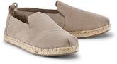 Espadrille Alpargata von TOMS in taupe für Damen. Gr. 36,37,38,39,40,41