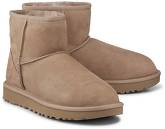 Boots Classic Mini Ii von UGG in beige für Damen. Gr. 41