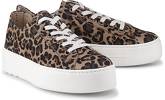 Fashion-Sneaker von Paul Green in leo für Damen. Gr. 38,39,40,40 1/2