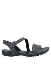 TIMBERLAND Sandalen