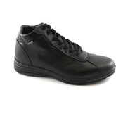 IgI CO  Herrenstiefel IGI-I17-87110-NE