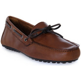 Frau  Herrenschuhe SPINNER BROWN