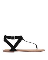 STEVE MADDEN Zehentrenner