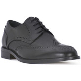 Ocland  Herrenschuhe NILO NERO