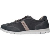 IgI CO  Sneaker 3122011