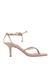 STEVE MADDEN Zehentrenner