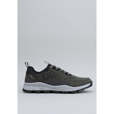 Lois  Sneaker 64020