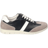 IgI CO  Sneaker 3121800
