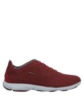 GEOX Low Sneakers & Tennisschuhe