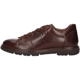 NeroGiardini  Herrenschuhe A800552U