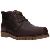 Pitillos  Herrenstiefel 4301 Hombre Marron