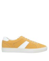 STEVE MADDEN Low Sneakers & Tennisschuhe