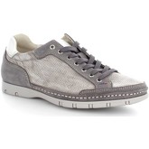 Lion  Sneaker 20588