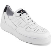 Exton  Sneaker 427