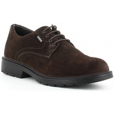 IgI CO  Halbschuhe UCTGT 61025 marrón