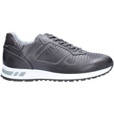 NeroGiardini  Sneaker P800231U