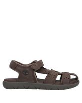 TIMBERLAND Sandalen