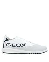 GEOX Low Sneakers & Tennisschuhe