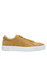 TOD'S Low Sneakers & Tennisschuhe