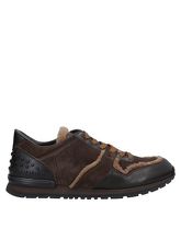 TOD'S Low Sneakers & Tennisschuhe