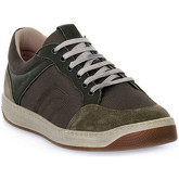 Frau  Sneaker TECNO OLIVA