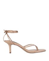 STEVE MADDEN Zehentrenner