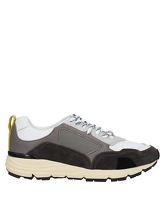 D’ACQUASPARTA Low Sneakers & Tennisschuhe