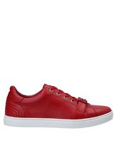 DOLCE & GABBANA Low Sneakers & Tennisschuhe