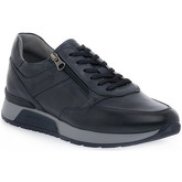 NeroGiardini  Sneaker NERO GIARDINI  200NEOPOLIS BLU