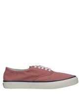 SPERRY TOP-SIDER Low Sneakers & Tennisschuhe