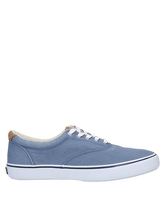 SPERRY Low Sneakers & Tennisschuhe