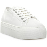 Windsor Smith  Sneaker RUBY CANVAS WHITE