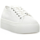 Windsor Smith  Sneaker RUBY CANVAS WHITE
