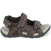 Elementerre  Sandalen Akka Marron