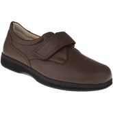 Natural Feet  Herrenschuhe Kletter Klaas XL Farbe: braun