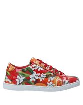 DOLCE & GABBANA Low Sneakers & Tennisschuhe