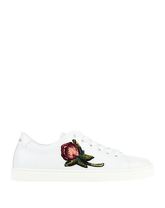 DOLCE & GABBANA Low Sneakers & Tennisschuhe