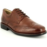 Anatomic   Co  Herrenschuhe Business MANAUS CHESTNUT