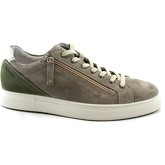 IgI CO  Sneaker IGI-E20-38922-TO