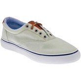 Sperry Top-Sider  Sneaker Striper Chamb turnschuhe