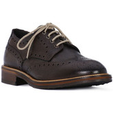 Exton  Herrenschuhe CHICCO CASTAGNO