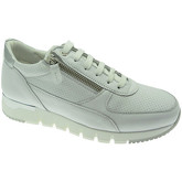 Melluso  Sneaker MW09730GDbia