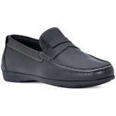 IgI CO  Herrenschuhe CAMBRID NERO