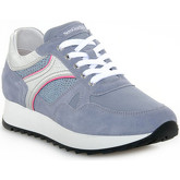 NeroGiardini  Sneaker 239 VELOUR STELLA