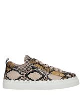 CHLOÉ Low Sneakers & Tennisschuhe