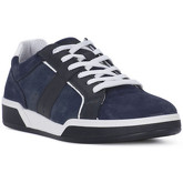 IgI CO  Sneaker SPECIAL BLU